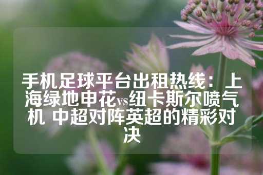 手机足球平台出租热线：上海绿地申花vs纽卡斯尔喷气机 中超对阵英超的精彩对决-第1张图片-皇冠信用盘出租