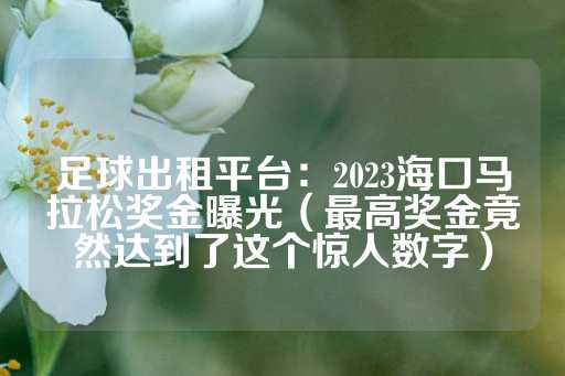 足球出租平台：2023海口马拉松奖金曝光（最高奖金竟然达到了这个惊人数字）