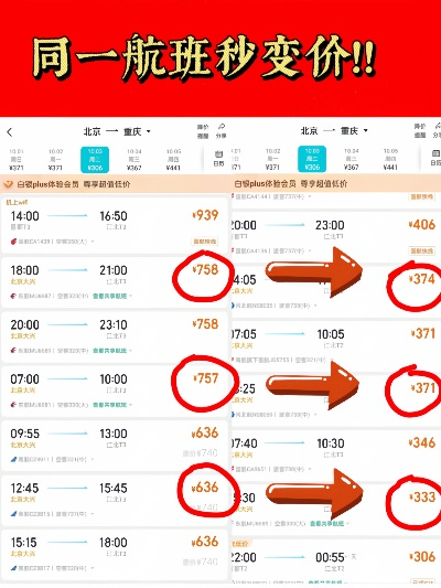 如何找到最便宜的机票平台（省钱攻略来袭）-第3张图片-www.211178.com_果博福布斯