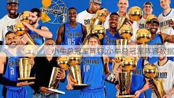 2014年NBA小牛队员名单及战绩回顾